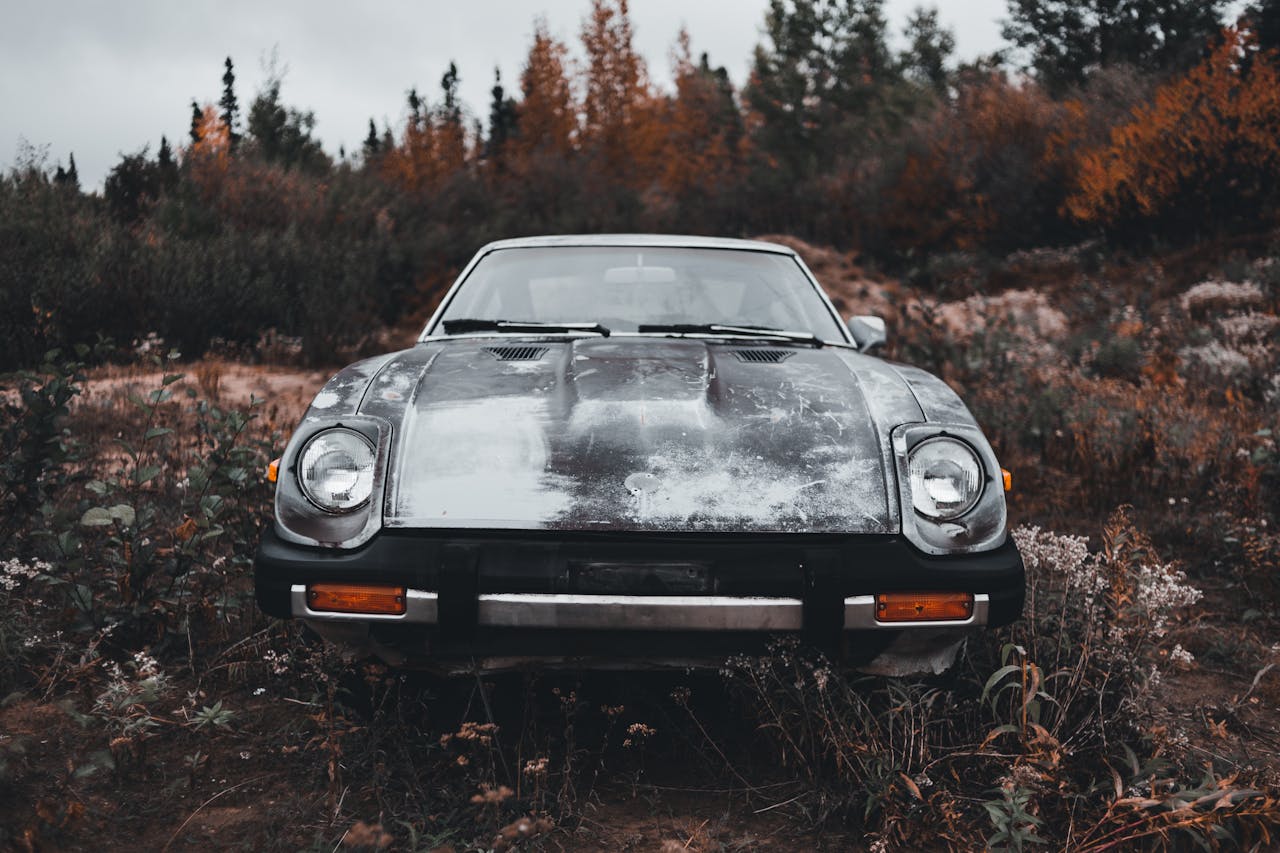 Front view of a classic Nissan Fairlady Z parked in an autumn nature setting, surrounded by flora.